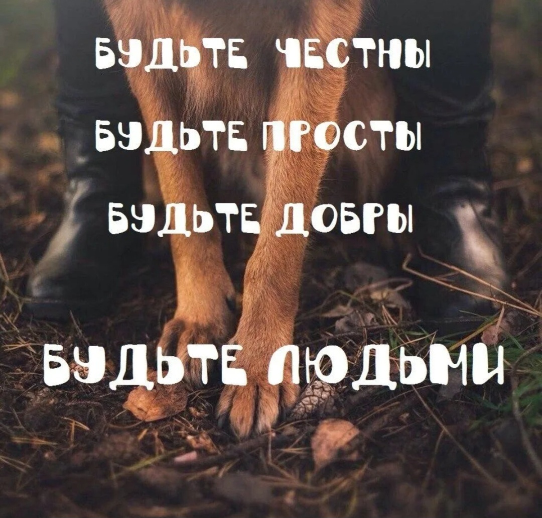 Фото из открытых источников интернета 