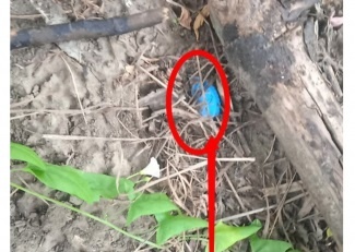 У злоумышленников изъяли около 1,5 кг наркотиков