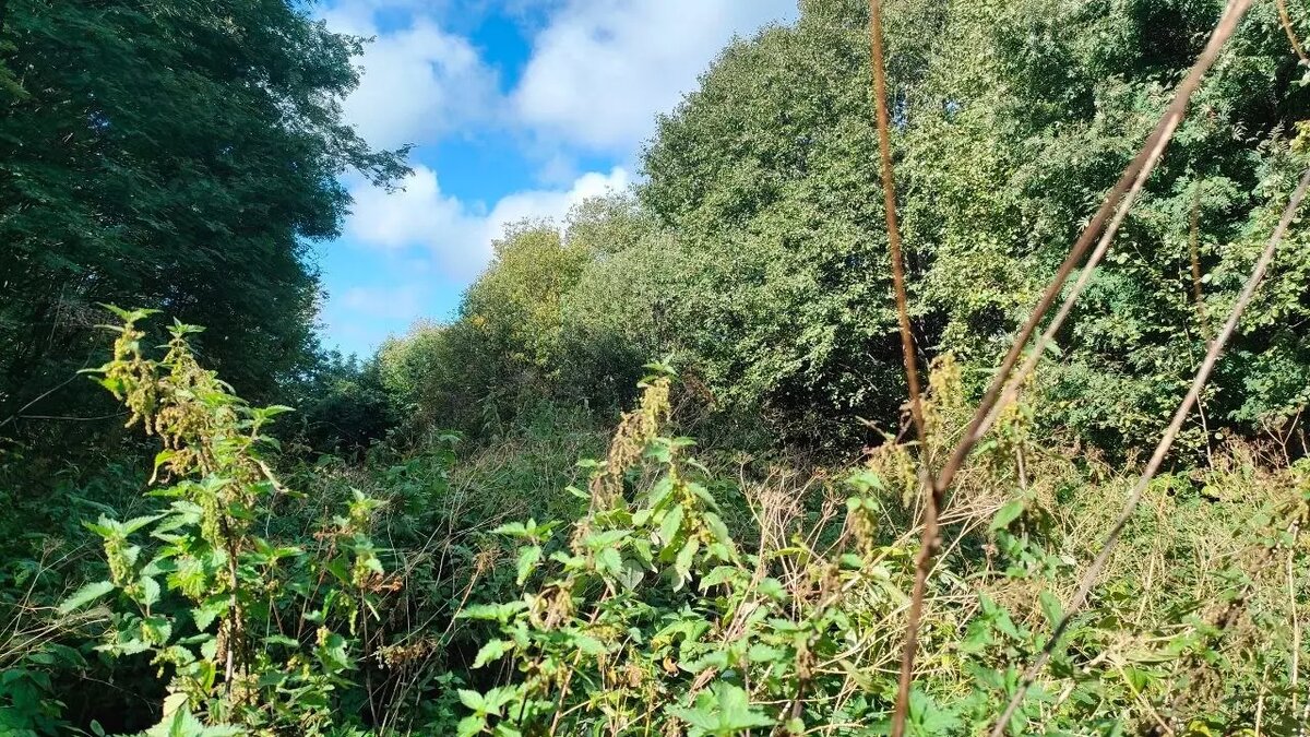     Источник: Североморское управление Россельхознадзора / vk