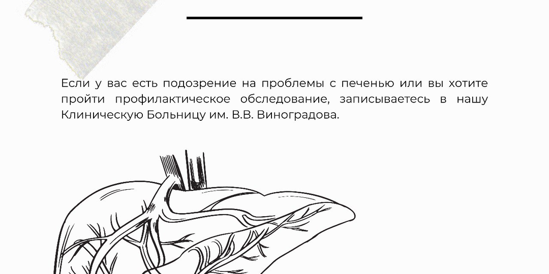 Что такое фибросканирование печени?