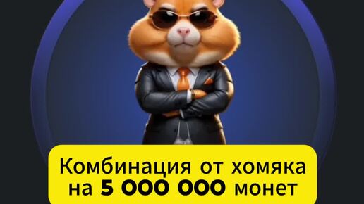 Hamster combat комбо 22 августа