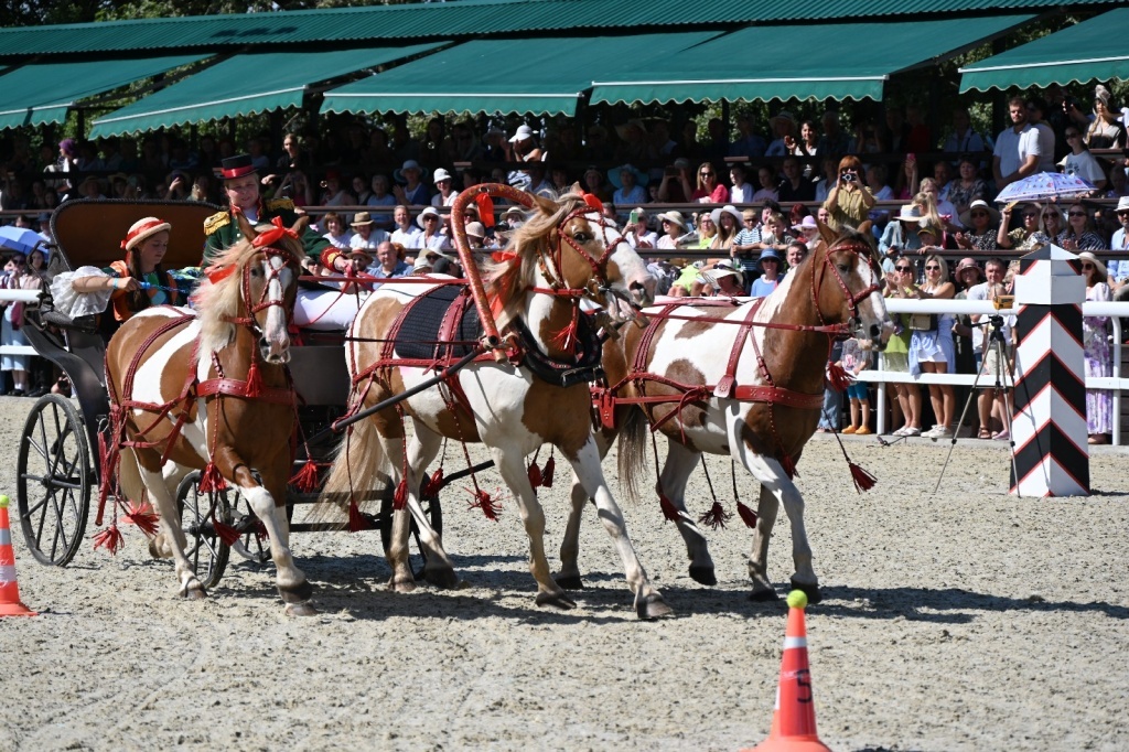 Тройка из Твери приняла участие в престижном конном чемпионате