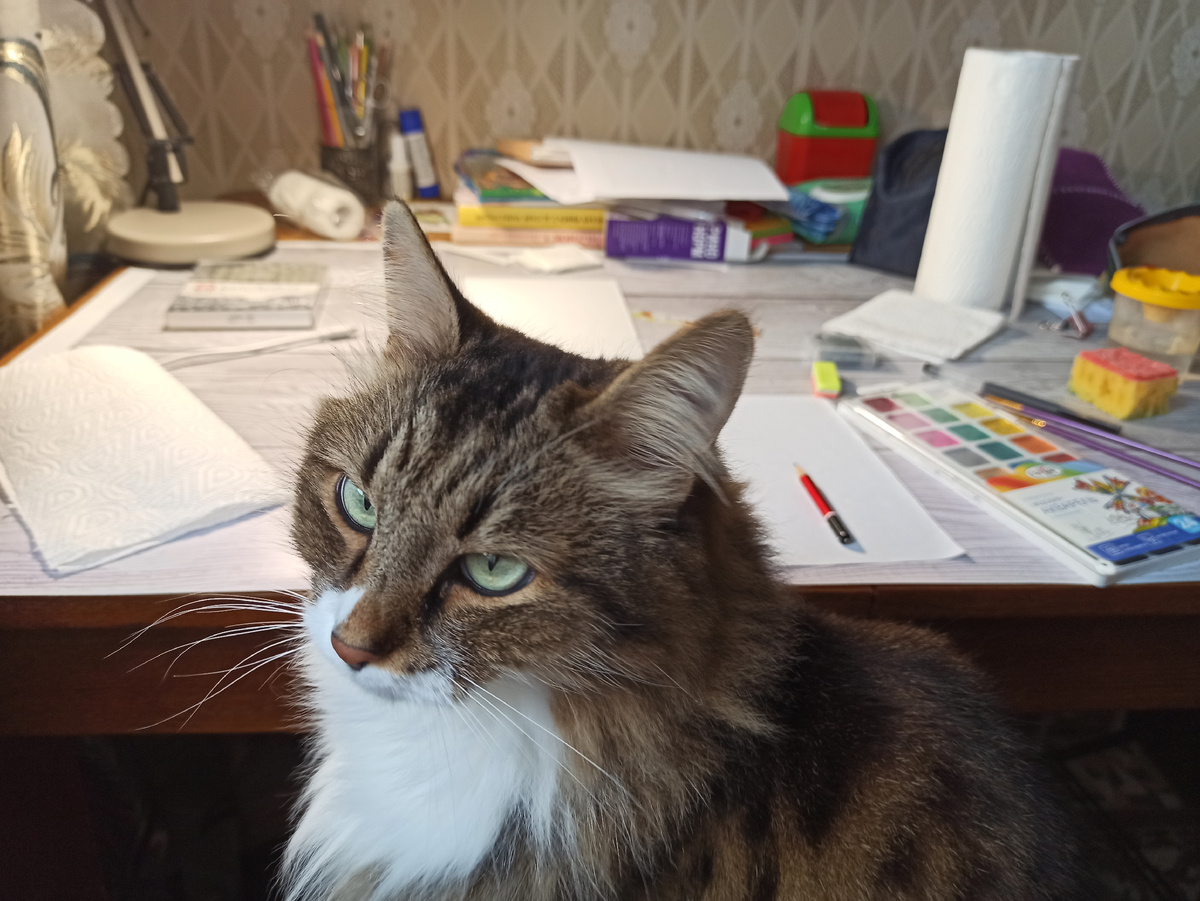 Четкий контроль качества