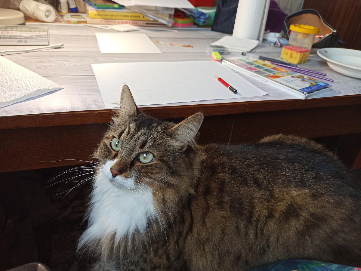 Спала у меня на руках по итогу, около 35 минут