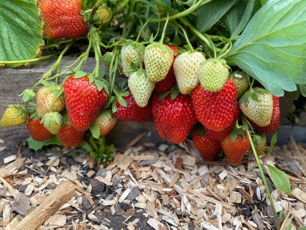    Фото Натальи Самариной