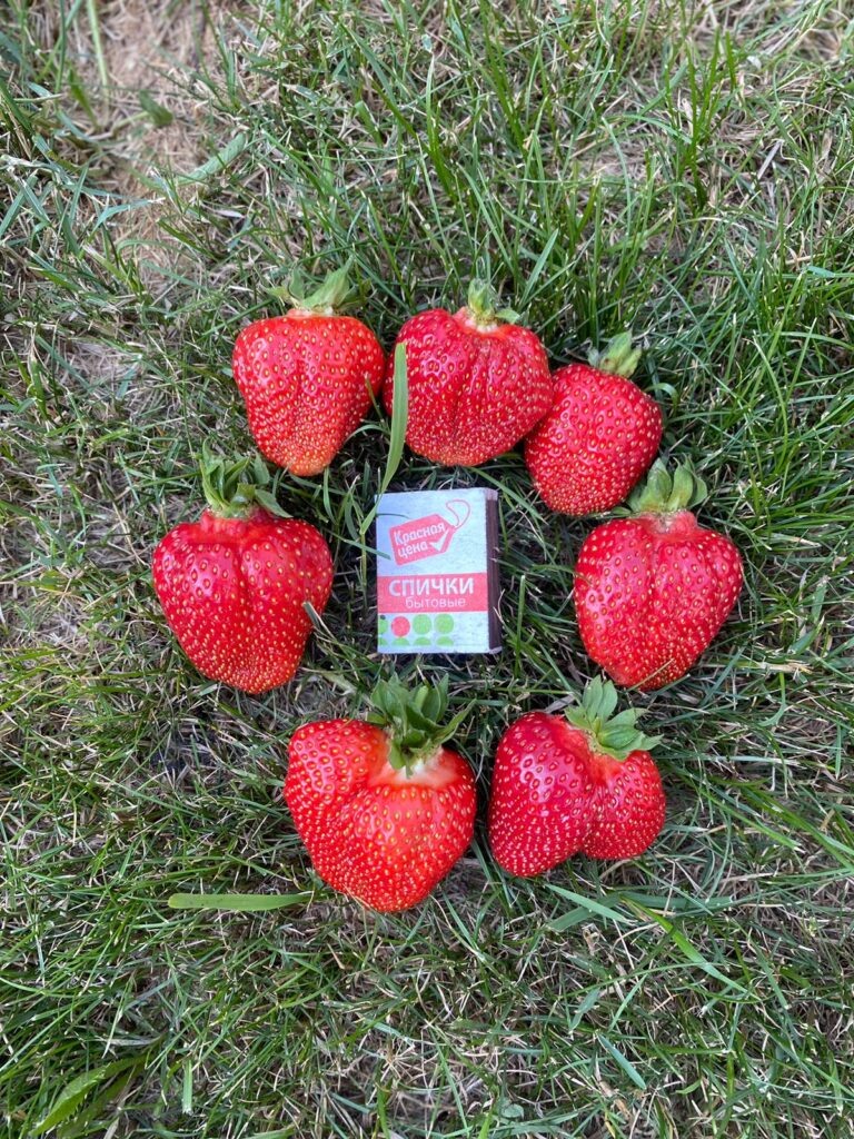 Листайте вправо, чтобы увидеть больше изображений