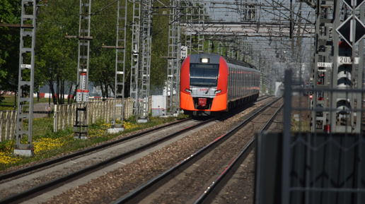 Вид из окна поезда по маршруту: Москва - Санкт-Петербург (Ласточка)