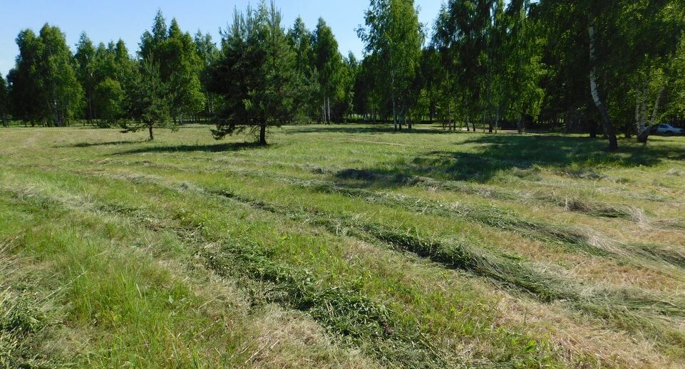   Медиасток.рф
