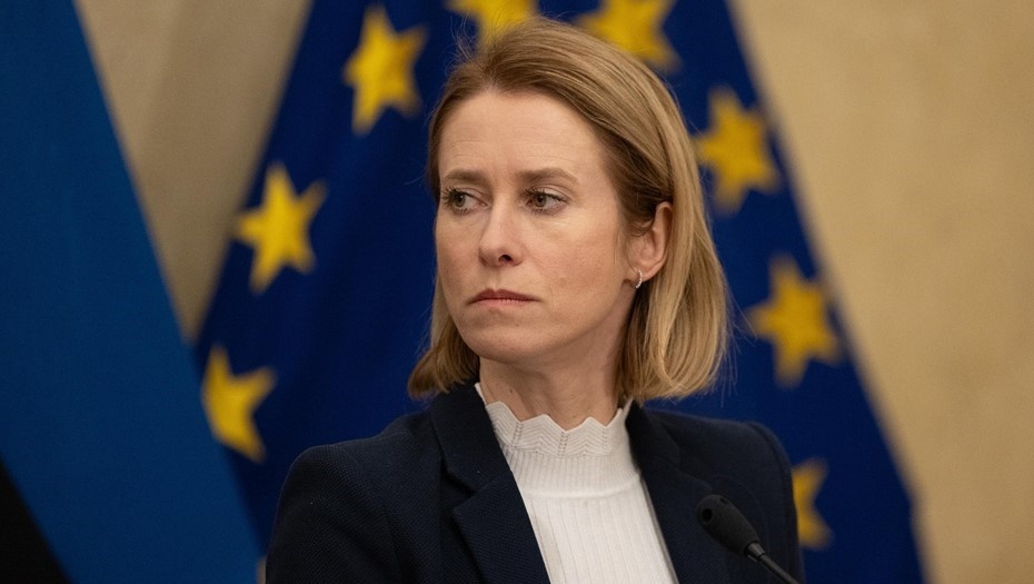 Картинка из Деловой Петербург