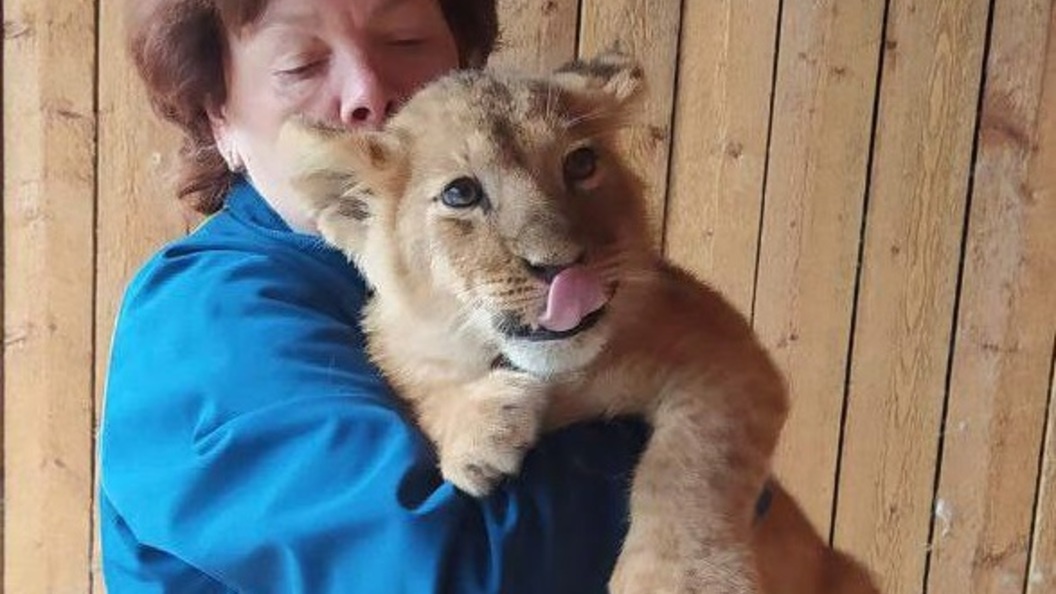    Пресс-служба Министерства сельского хозяйства и продовольствия Московской области