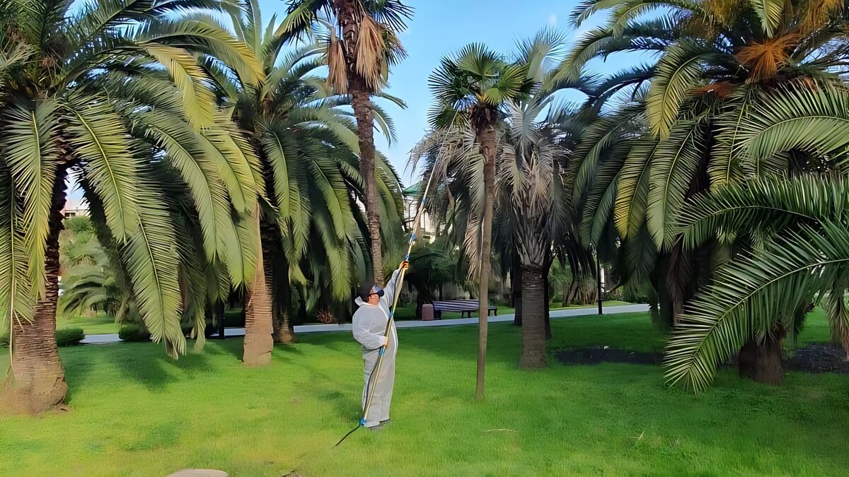     Автор: МЦУ Сочи