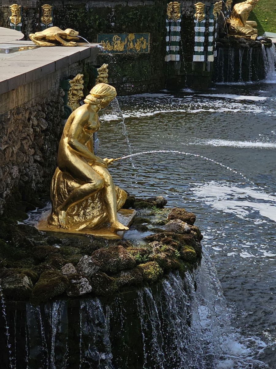 Фото: Gazeta.SPb