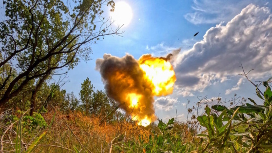    ВСУ потеряли до 420 военных за сутки при попытке продвижения в Курской области Анастасия Романова