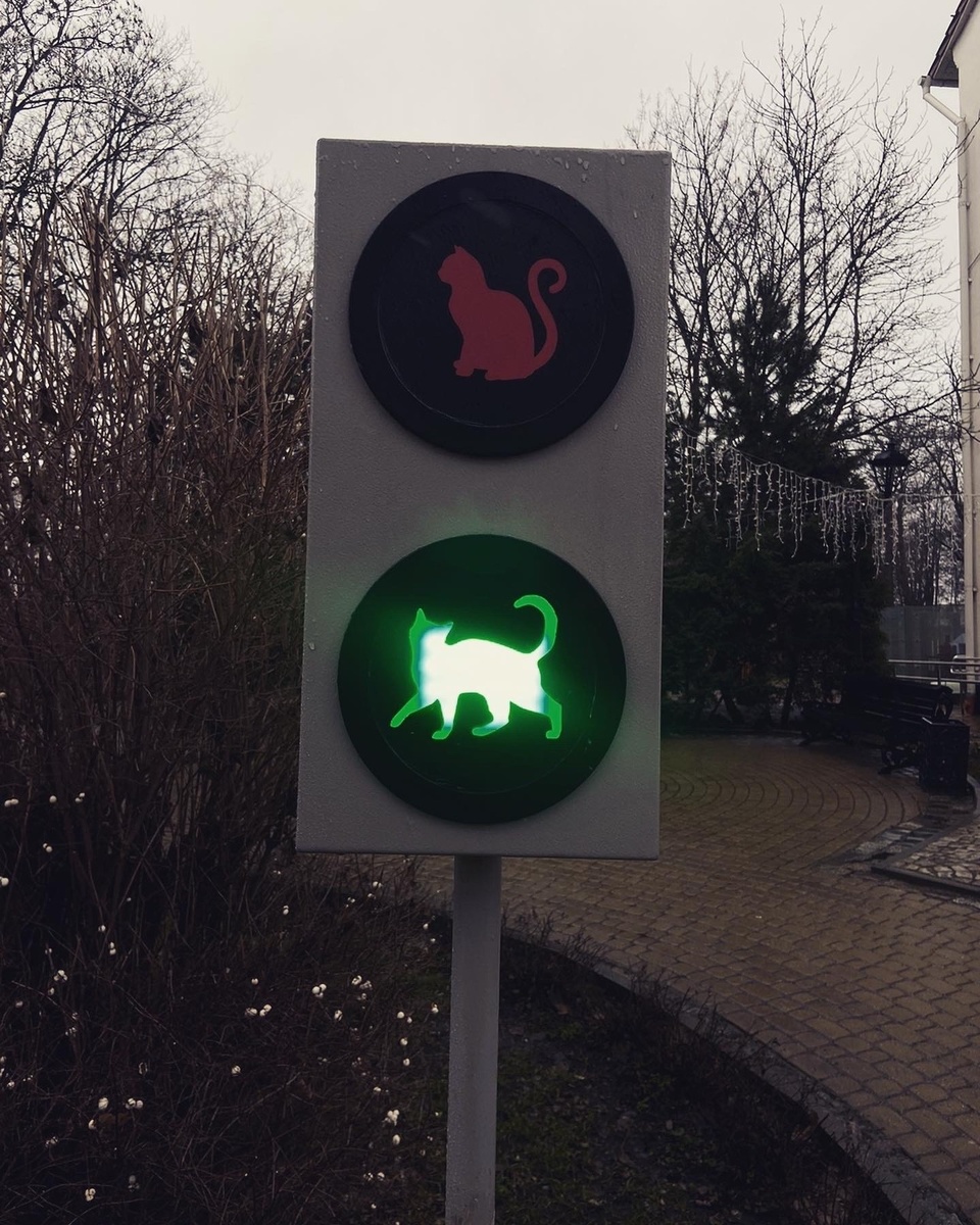 Котофор в сквере ( рабочий)