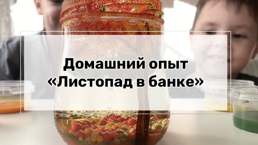 Простой домашний опыт «Листопад в банке»