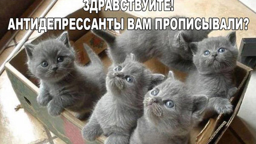 Он еще является и. Он еще является и