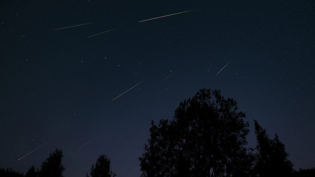 ©️ Валерий Козубовский