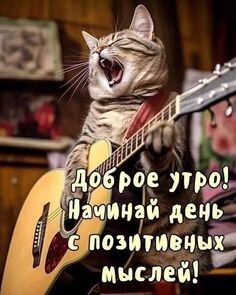 Фото с интернета