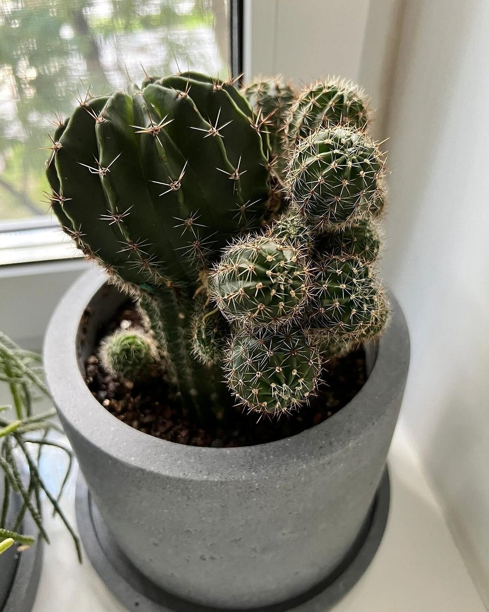    Соцсети студии polniy_beton_studio