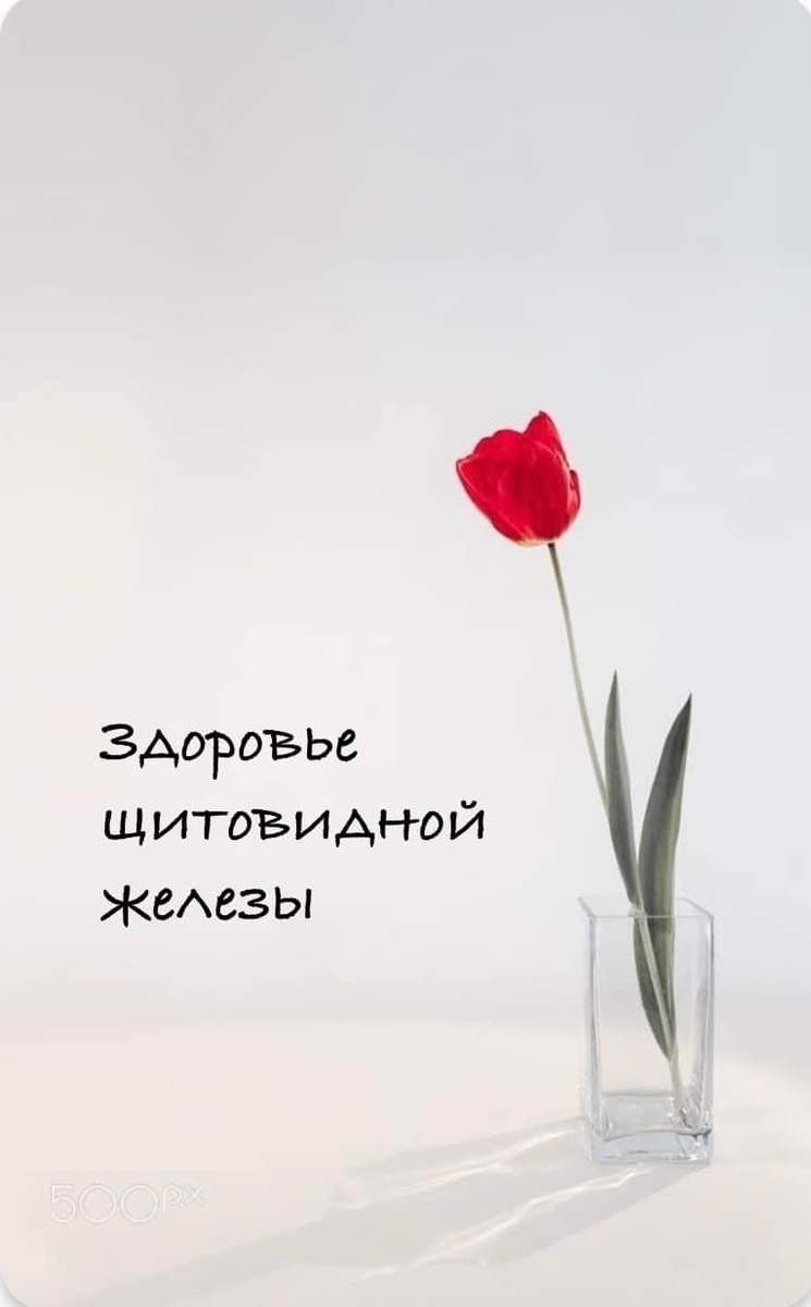 Щитовидная железа

Что значит, постоянно учится. Каждый раз открываешь что-то совершенно новое. И сейчас это коснется о здоровье ЩЖ. А именно о ее поддержке. 

Как обычно происходит поддержка ЩЖ? Частенько дотацией йода. Кто-то еще прописывает прием стероидных гормонов и в лучшем случае цинка. Вообщем, давайте разбираться. 

Для того, чтобы поддержать щитовидку, необходима стратегия PTSD:
- выработка гормонов
- транспорт и взаимодействие с другими гормонами
- чувствительность клеток к гормонам
- детоксикация

И здесь, мы снова сталкиваемся с моей любимой ДЕТОКСИКАЦИЕЙ. Давайте вспомним, через какие пути она проходит: печень, почки, кишечник. А теперь представим, что человек не знает, ест провоспалительную еду и кишечник его находится в состоянии хронического воспаления. О каком детоксе может идти речь. Это не все. 

Для выработки гормонов не достаточно только йода, недостаточно и селена и цинка. 

Без железа, все будет бессмысленным. И опять возвращаемся к вопросу: а почему у нас снижено железо? Т.е пока не решишь вопрос с причиной недостатка железа, сидеть на таблетках можно вечно. Ведь как только перестаешь его датировать, оно достаточно быстро снижается. 

Существует и ряд других витамин, необходимых для синтеза гормонов щитовидной железы, но описывать их не буду, так как их дотация необходима лишь после анализов. 

Какие факторы разрушают нашу щитовидку:

- аутоиммунные заболевания
- стресс
- инфекции
- травмы
- радиации
- лекарства
- ВОСПАЛЕНИЕ (хроническое)
- дисфункция органов ЖКТ
- заболевания печени и почек
- повышенное употребление УГЛЕВОДОВ, пониженное потребление белка
- гормональная дисригуляция оси надпочечники- щитовидка- половые гормоны

Симптомы гипотериозы знакомы всем. Но есть и субклинический гипотериоз, когда мы видим анализы еще в норме, а жалобы уже есть. Если у вас:
- постоянная усталость
- увеличение веса
- холодовая непереносимость 
- сухая кожа и волосы
- потеря волос
- нарушение менструального цикла
- УТРЕННИЕ отеки
- мышечные боли и боли в суставах
- запор и нарушение моторики 
- депрессия от нехватки сил. Человек не может вести нормальный образ жизни и впадает в уныние
- плохая концентрация
- плохая память
- ‼️избыток ушной серы‼️ обратите на это внимание. Тоже связано с щитовидкой. 
- тревожность, панические атаки ‼️
- сухость и трещины на пятках и локтях 

Если вы обнаружили все эти симптомы, не поленитесь и сдайте анализы. Проверьте свою щитовидку. Ведь, чем раньше увидите проблему, тем проще ее будет решить. 

И напоминаю: мы можем помочь ДО ОПРЕДЕЛЕННОГО МОМЕНТА. Бывают случаи, когда уже слишком поздно и болезнь слишком сильно прогрессирует. Тогда, это уже другая история. Не доводите себя до этого. 

Продолжение в следующем посте.