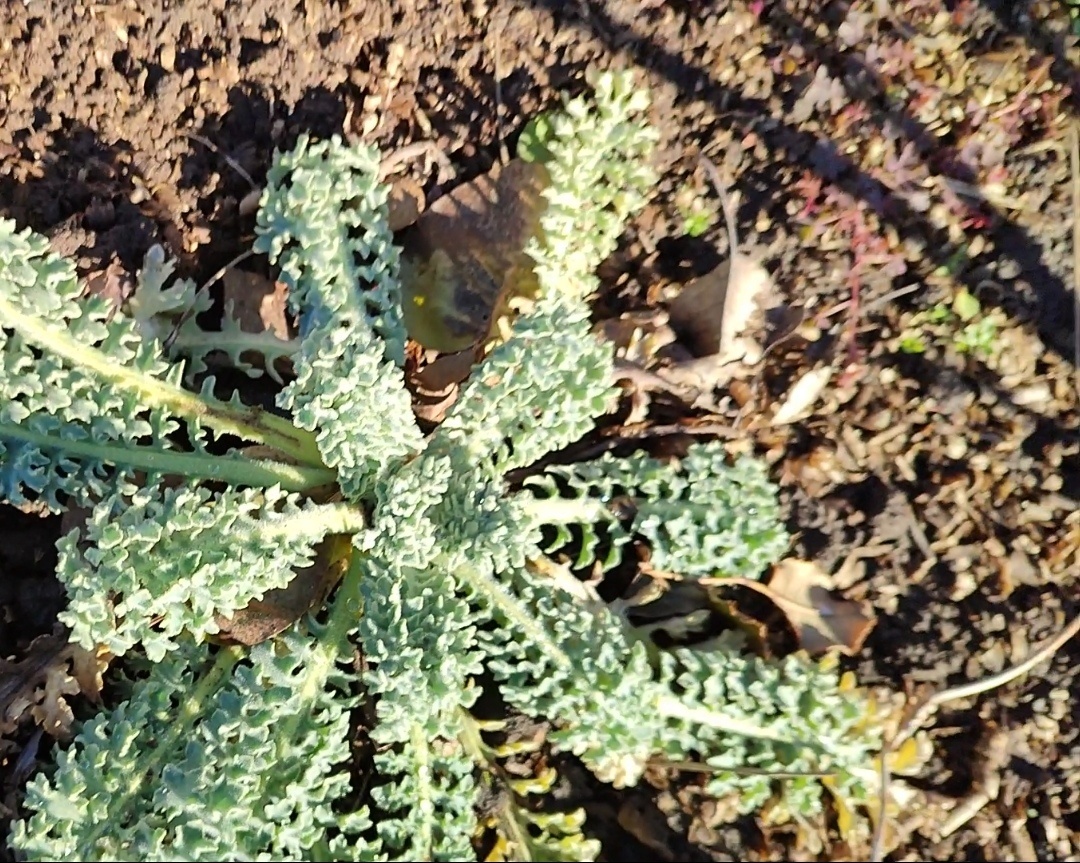 скрин из видео, которое я снимала в апреле 2024 года.