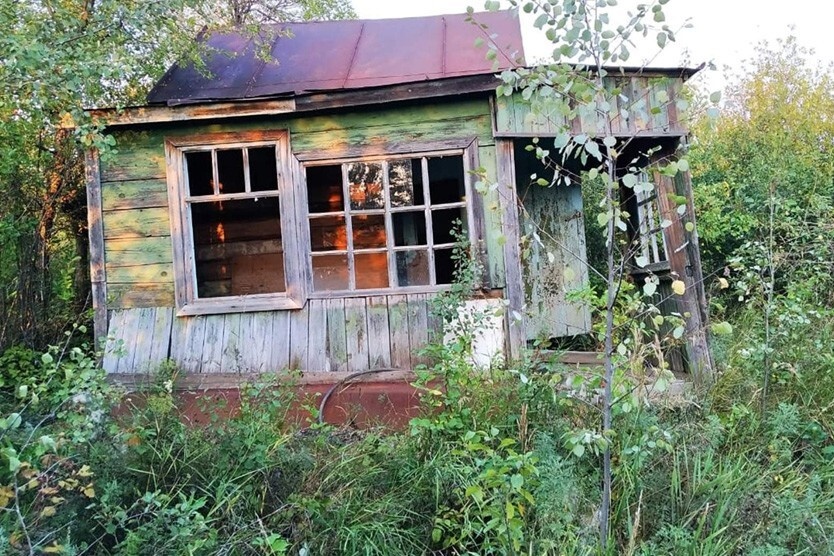 Источник:  cdn-images.mn.ru