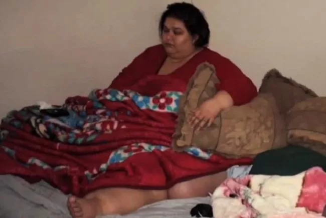 Фото из свободных источников