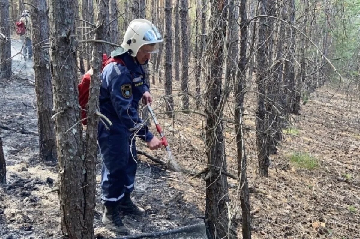    В Ульяновской области в этом сезоне потушили 23 лесных пожара