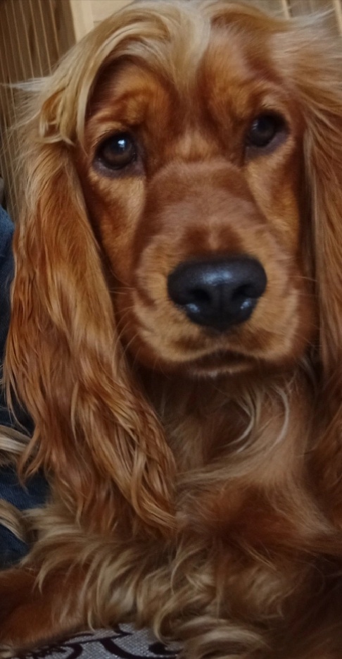 Фото автора канала.