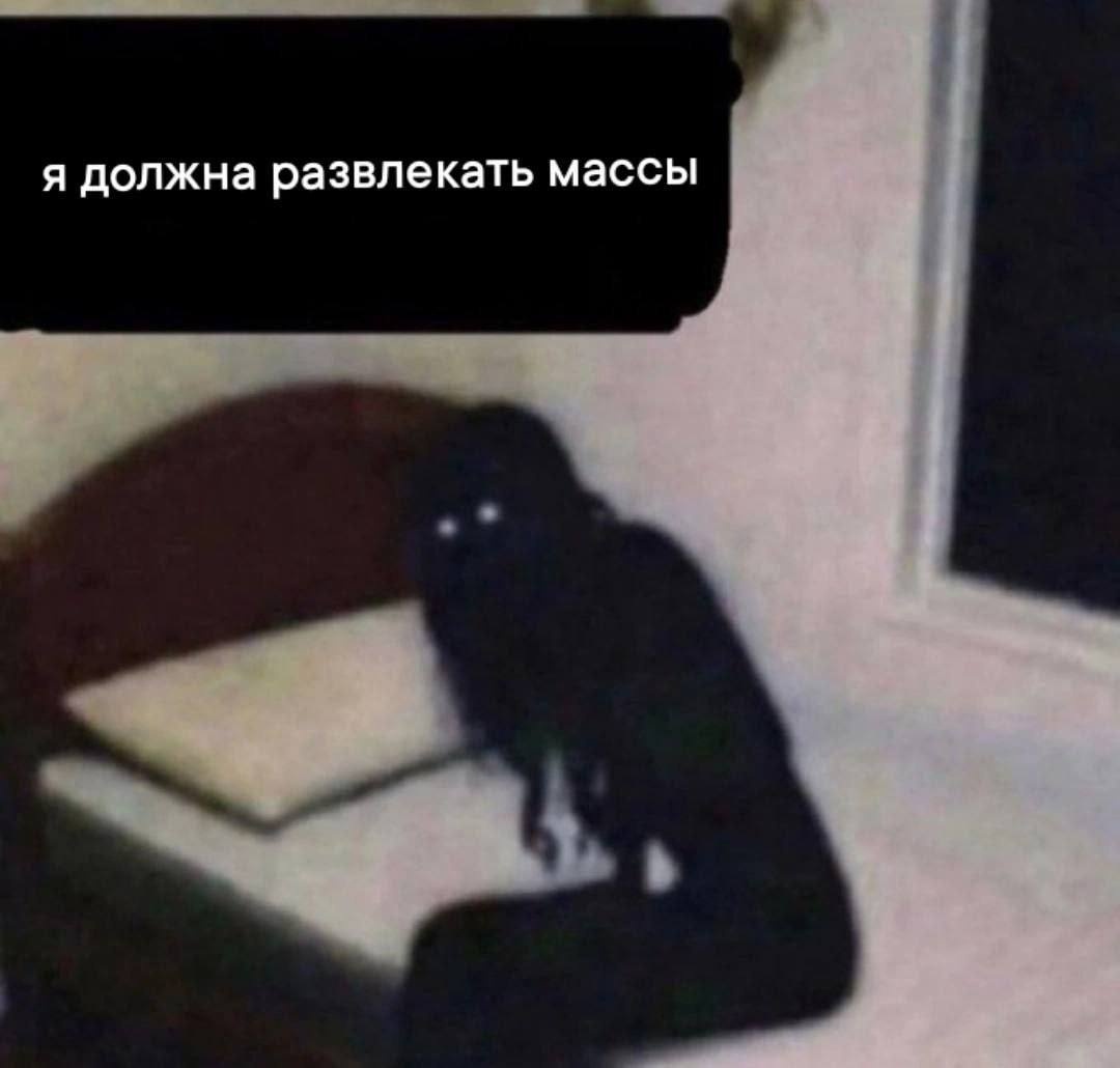 Фото из открытых источников.