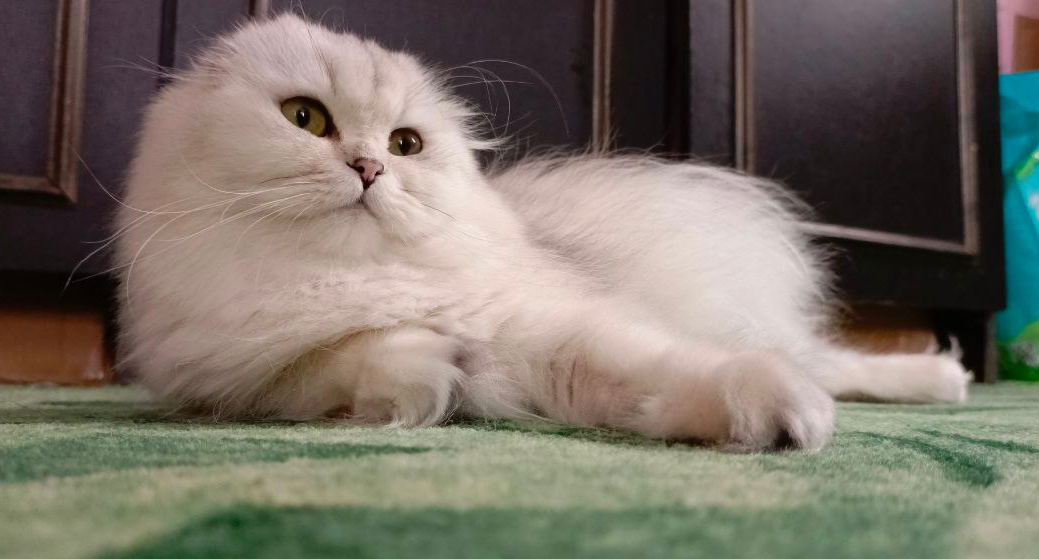 Фото из личного архива