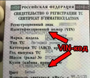 Вин номер в СТС