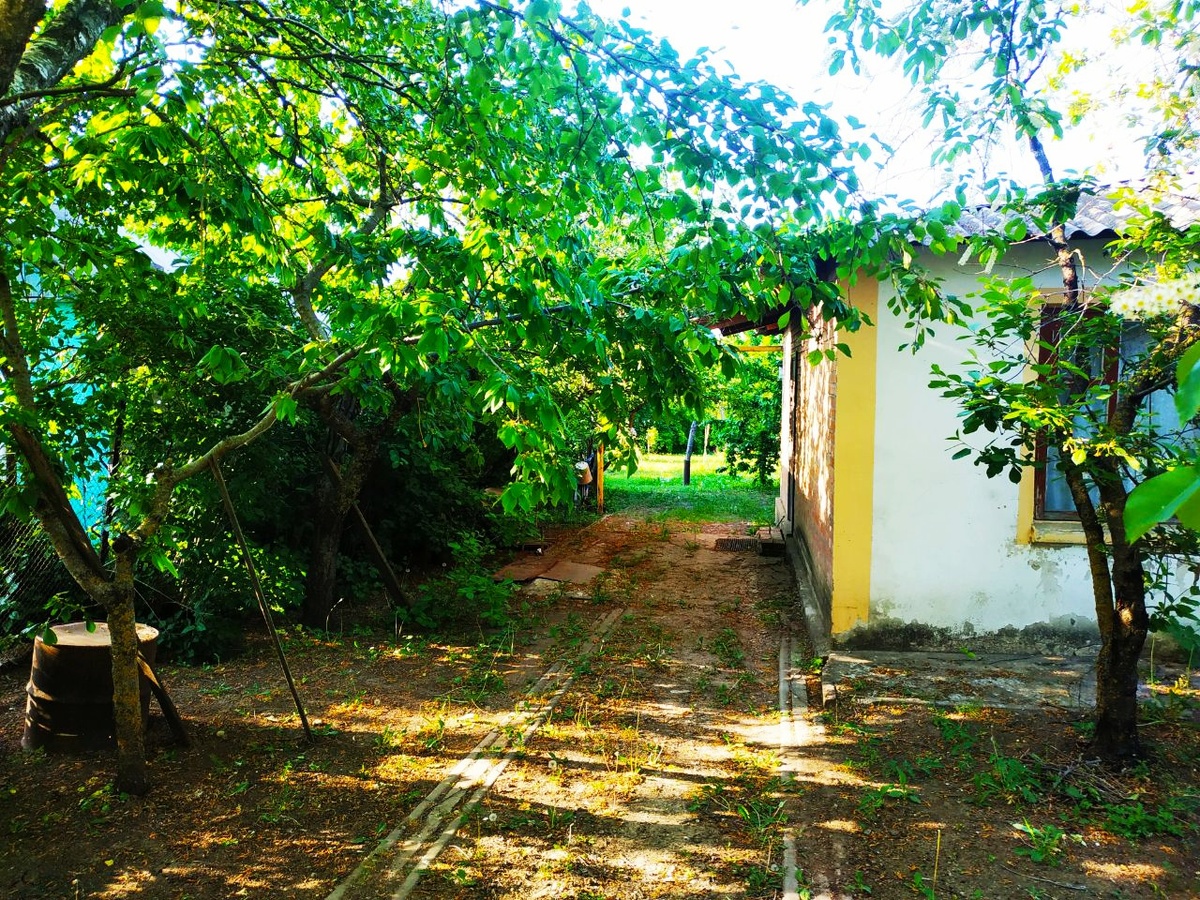 фото автора. весна в деревне