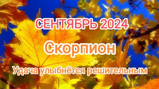 СКОРПИОН 🍁 СКОРПИОН 2024🍁 Тароскоп 🍁