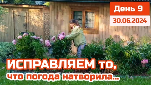 🍓 Клубника поспела, 1-й урожай 🪻 Все цветы лежат - поднимаю. Пошли к Озеру смотреть закат, а там...