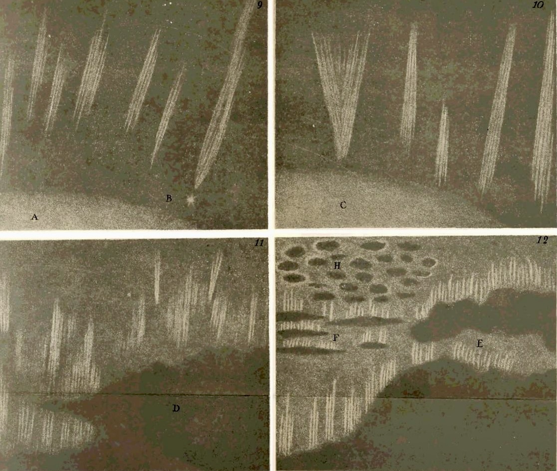 Иллюстрации к монографии М. Ломоносова «Испытание причины северного сияния»