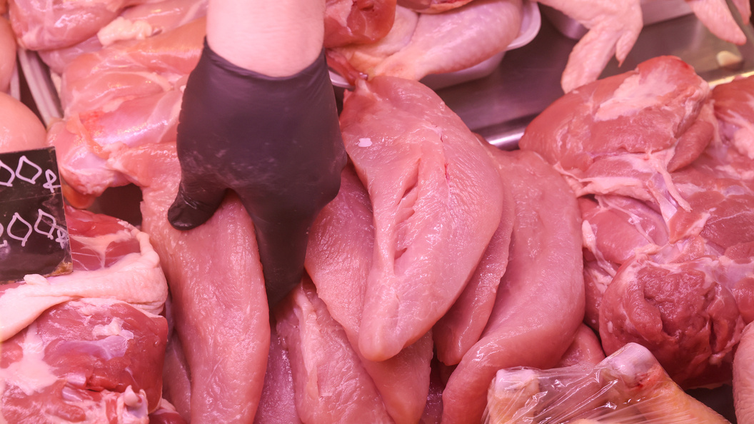    Фото: Petrov Sergey/news.ru/Globallookpress