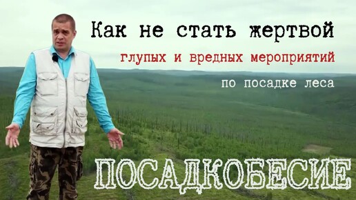 ПосадкоБесие - Как не стать жертвой глупых и вредных мероприятий по посадке леса