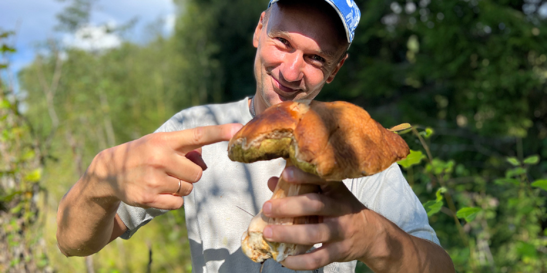 Червивые грибы: Можно ли есть их, если отварить и вымочить (кандидат наук объяснил)