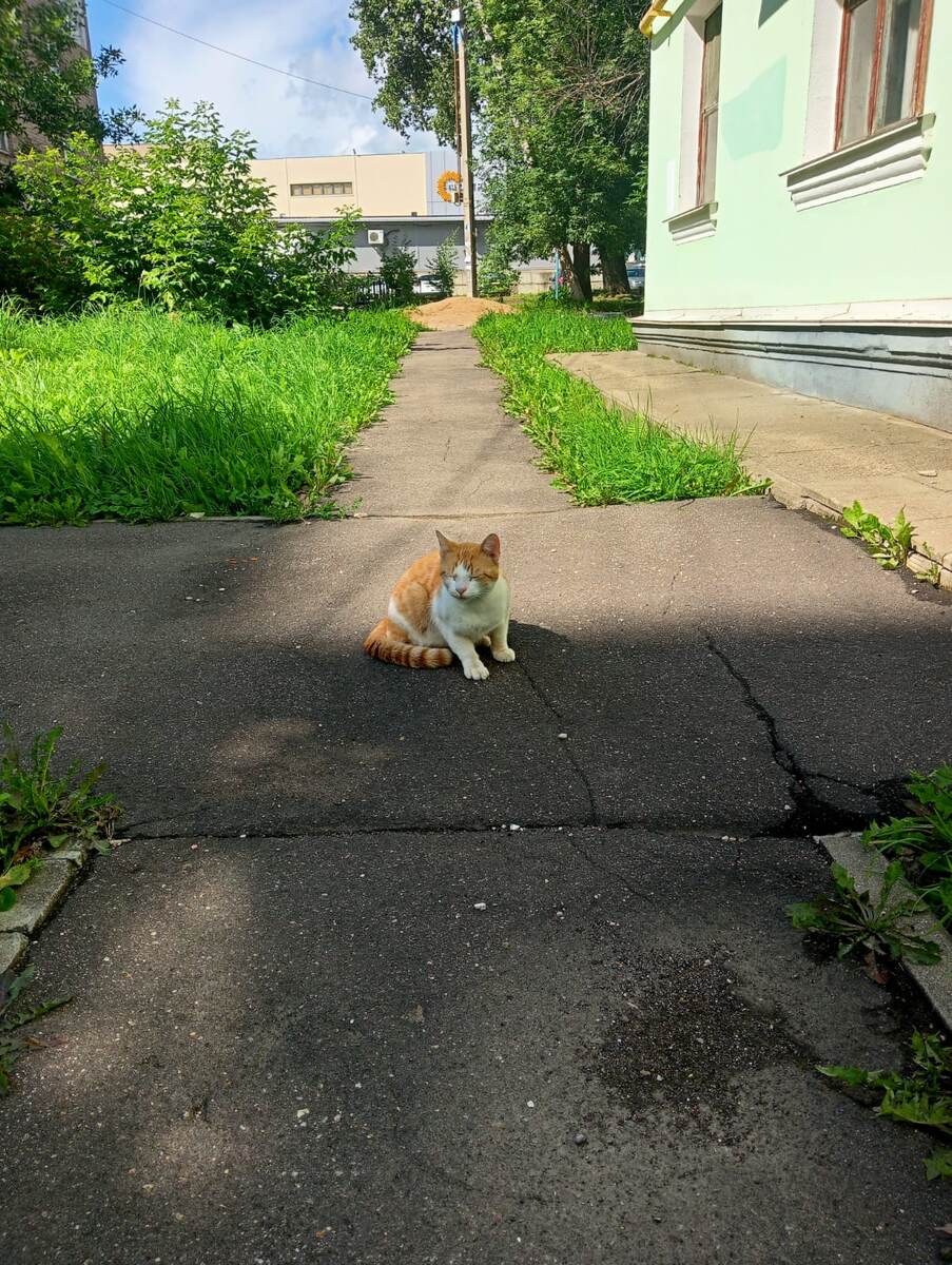 Фото автора. Бежали ко всем кто проходил мимо.
