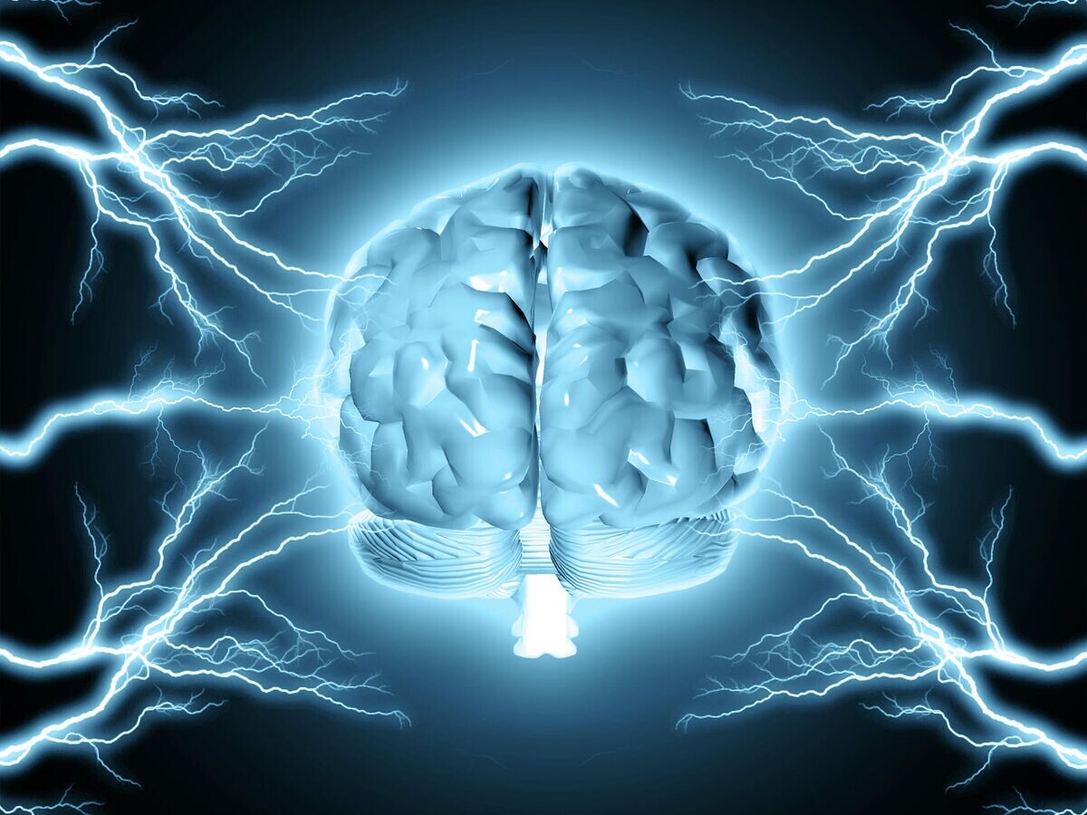    Человеческий мозг© Depositphotos.com / nicunickie1