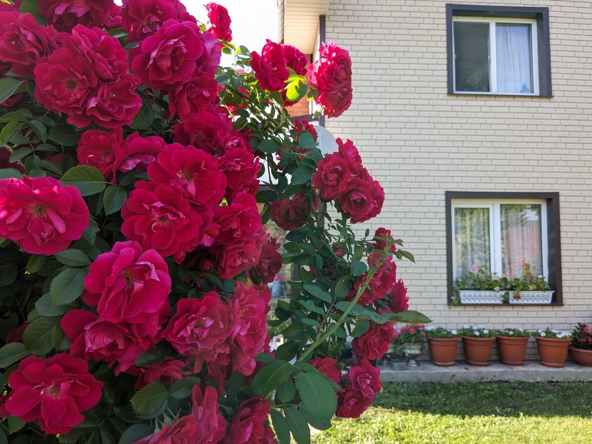�� �������� �� ����, ������� �� ��������: ������ �������� ���� - ����� ��������