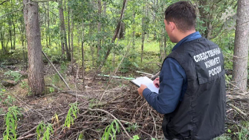    Фото: СУ СКР по Республике Карелия