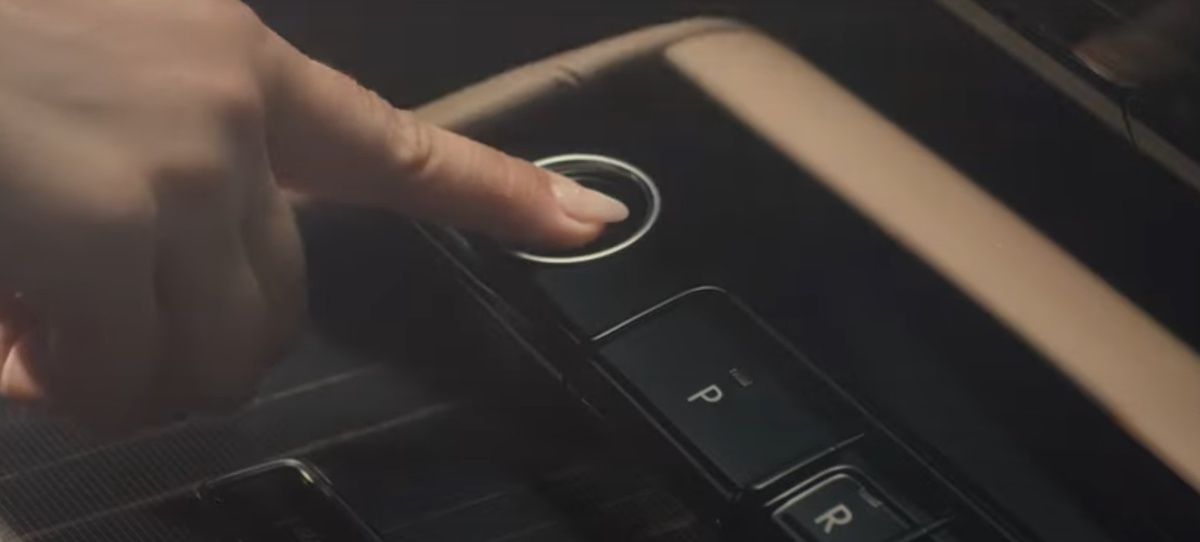 Кадр из видео  📷
