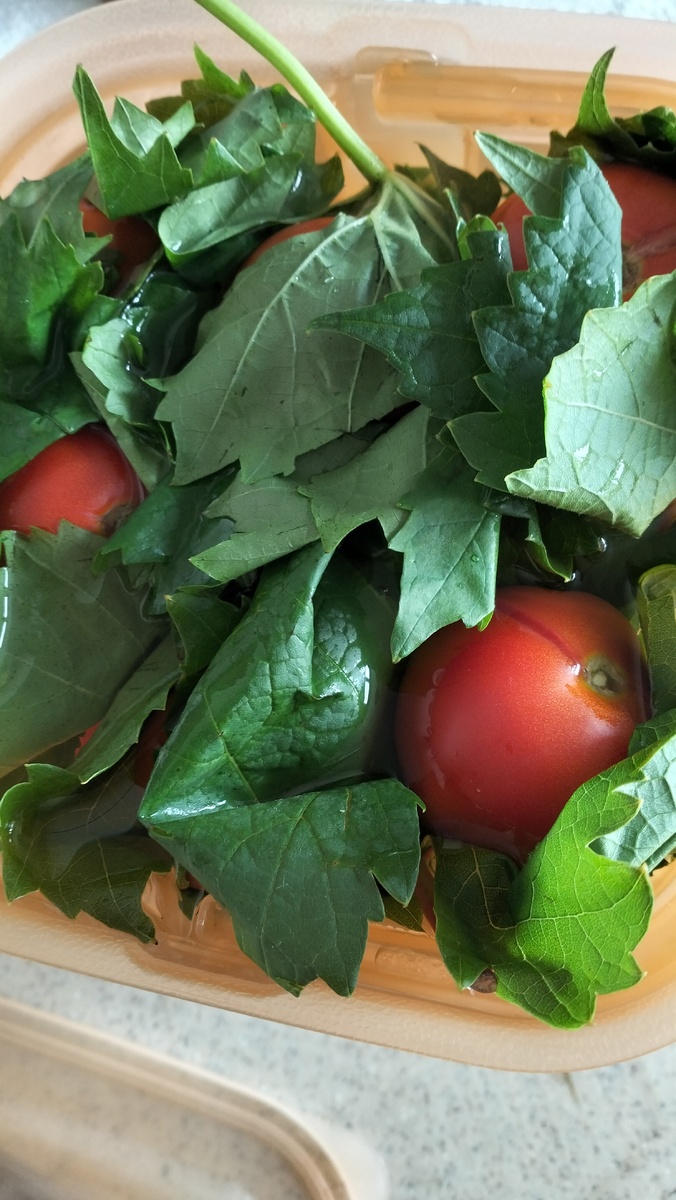 В виноградных листьях