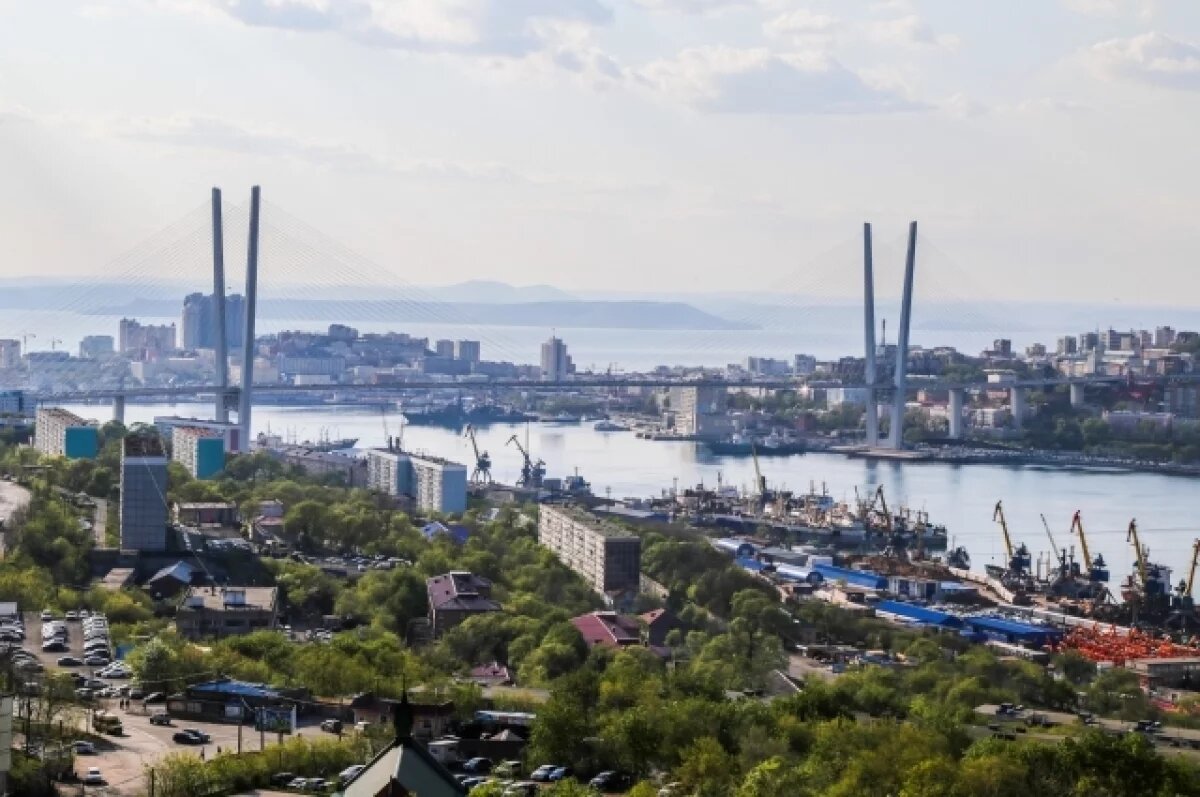    Многодетные семьи Владивостока могут взять деньги вместо земельного участка