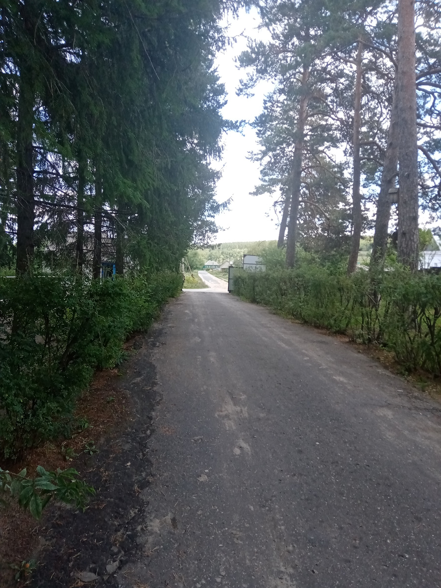 Дорожка к выходу, с работы. И моё любимое время, 16:00. 