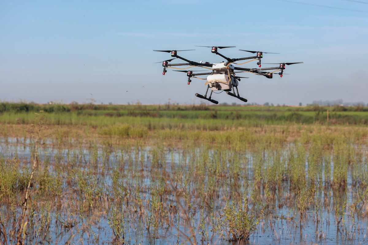 Фото: RocO Ruz / globallookpress.com
