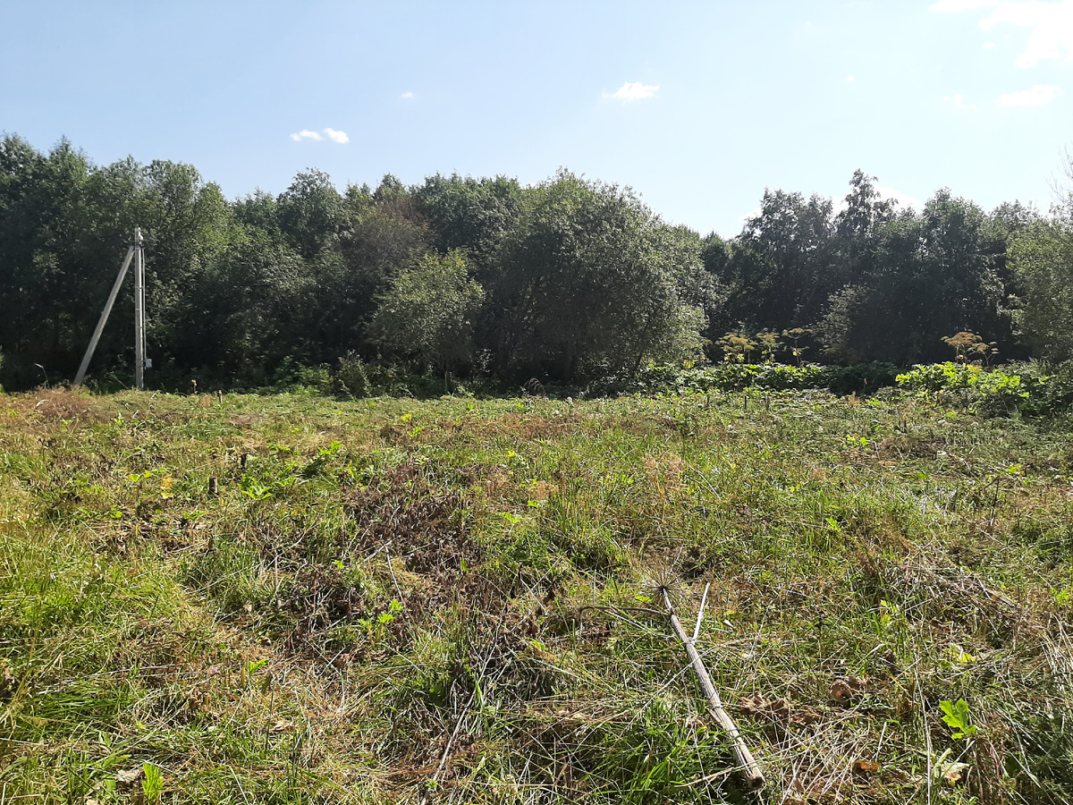 Расчищаю участок по выходным