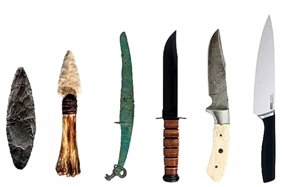    Эволюция кухонных ножей:
